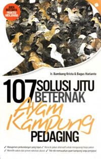 107 Solusi Jitu Beternak Ayam Kampung Pedaging