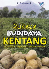 Sukses budidaya kentang