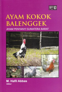 Ayam Kokok Balenggek Ayam Penyanyi Sumatera Barat