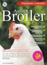 Ayam Broiler