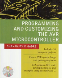 Programming And Customizing The AVR Microcontroller