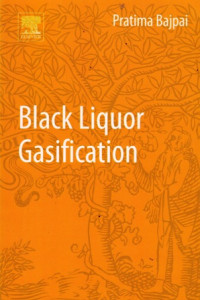 Black Liquor Gasification