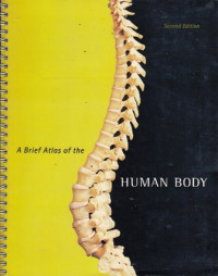 A Brief Atlas of the Human Body