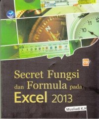 Secret Fungsi dan Formula pada Excel 2013