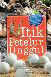 Itik Petelur Unggul