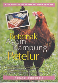 Beternak Ayam kampung Petelur