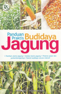 Panduan Praktis Budidaya Jagung