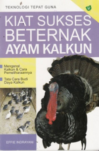 Kiat Sukses Beternak Ayam Kalkun