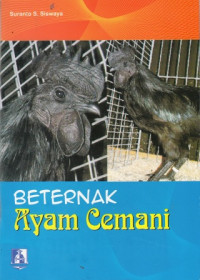 Beternak Ayam Cemani