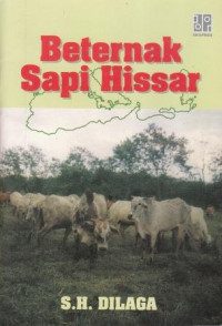 Beternak Sapi Hissar