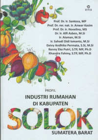 profil industri rumahan di kabupaten solok