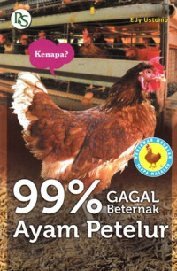 99% Gagak Beternak Ayam Petelur