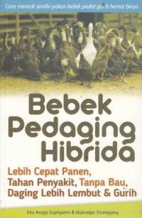 Bebek Pedaging Hibrida Tahan Penyakit, Tanpa Bau, Daging Lebih Lembut Dan Gurih