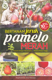 Bertanam Jeruk Pamelo Merah