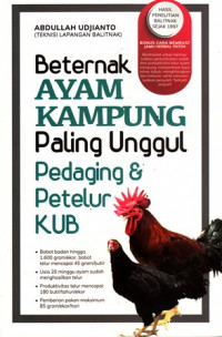 Beternak Ayam Kampung paling unggul pedaging & petelur KUB