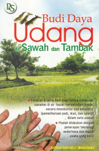 Budi Daya Udang di Sawah dan Tambak