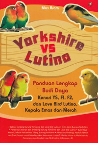 Yorkshire vs lutino: Panduan lengkap budi daya kenari YS F1 F2 dan love bird lutino kepala emas dan merah