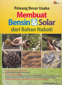 Peluang Besar Usaha Membuat Besin Dan Solar Dari Bahan Nabati