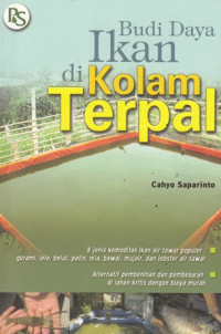 Budi daya ikan di kolam terpal