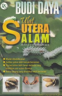 Budi Daya Ulat Sutera Alam = Attacus Atlas