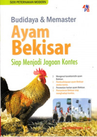 Budidaya Dan Memaster Ayam Bekisar Siap Menjadi Jagoan Kontes