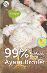 Sembilan Puluh Sembilan Parsen Gagal Beternak Broiler