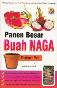 Panen Besar Buah Naga Dalam Pot