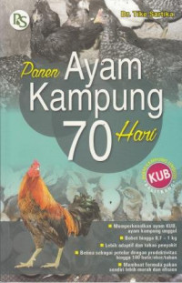 Panen Ayam Kampung 70 Hari