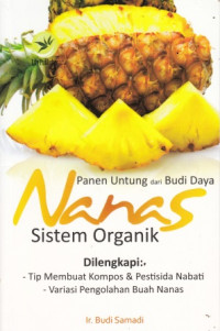 Panen Untung Dari Budi Daya Nanas Sistem Organik