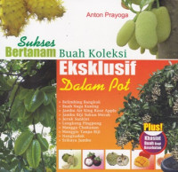 Sukses Bertanam Buah Koleksi Ekslusif  Dalam Pot