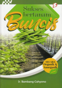 Sukses bertanam buncis