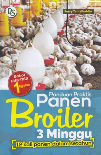 Panduan Praktis Panen Broiler 3 Minggu : 12 Kali Panen Dalam Setahun