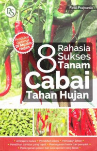 8 Rahasia sukses Tanam Cabai Tahan Hujan