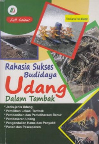 Rahasia Sukses Budidaya Udang Dalam Tambak