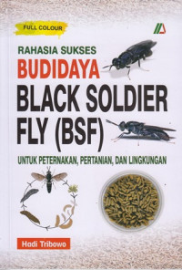 Rahasia Sukses Budidaya Black Soldier Fly (BSF) untuk Peternakan, Pertanian, dan Lingkungan