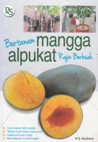 Bertanam Mangga Alpukat Rajin Berbuah