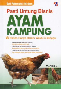 PASTI UNTUNG BISNIS AYAM KAMPUNG Panen Hanya Dalam Waktu 6 Minggu