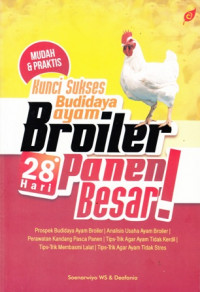 Kunci sukses Budidaya Ayam Broiler 28 hari Panen Besar