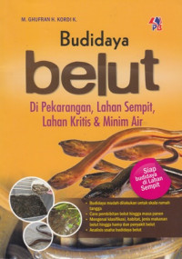 Budidaya Belut di Pekarangan Lahan Sempit Lahan Kritis Minim Air