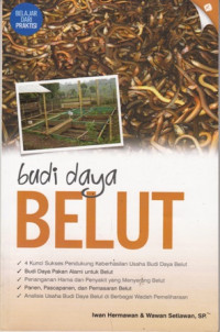 Budi Daya Belut