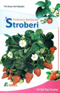 Pedoman Bertanam Stroberi