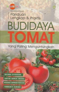 Panduan Lengkap Dan Praktis Budidaya Tomat Yang Paling Menguntungkan