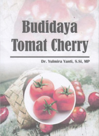 Budidaya Tomat Cherry