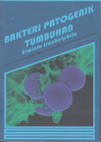 Bakteri Patogenik Tumbuhan : Erwinia Tracheiphilia