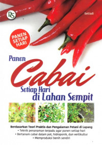 Panen Cabai Setiap Hari Di Lahan Sempit