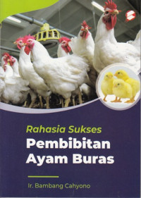 Rahasia sukses pembibitan ayam buras