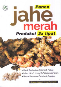 Panen Jahe Merah Produksi 3X Lipat