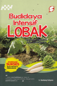 Budidaya Intensif Lobak: secara organik dan anorganik