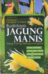 Panduan lengkap dan praktis budidaya jagung manis yang paling menguntungkan