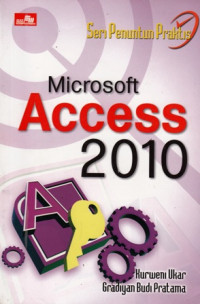 Microsoft Access 2010